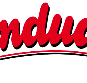 PEM Almdudler
